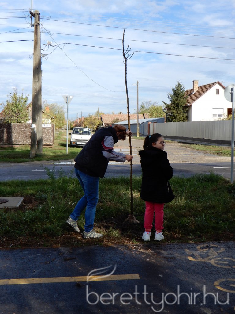 Közösségi faültetés Berettyóújfaluban 05